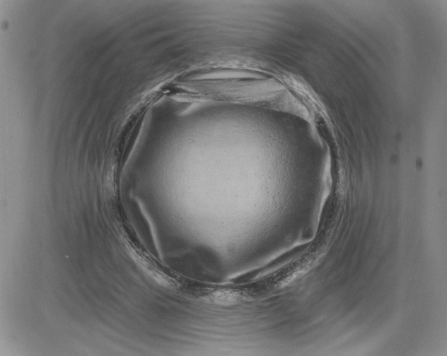 X0000081440441200701261851
