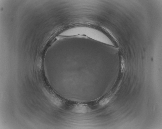 X0000081440451200701261852