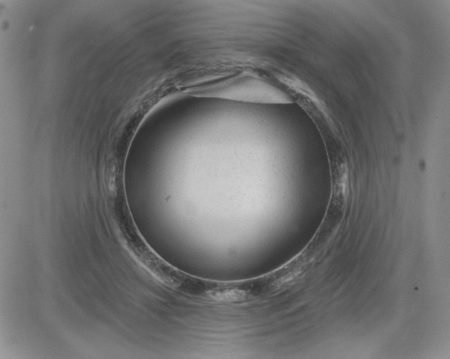 X0000081440452200701261852