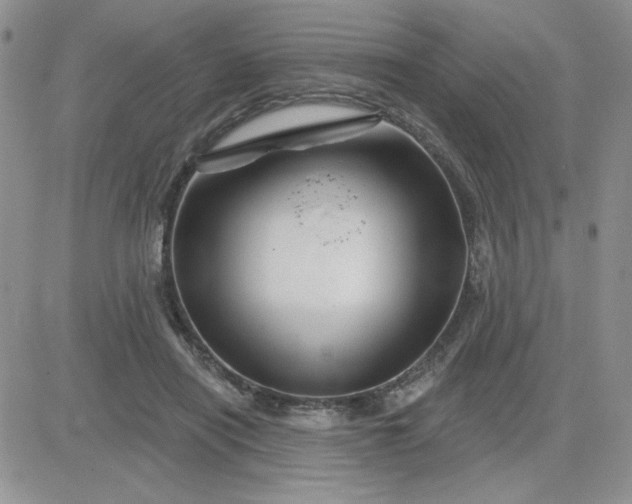 X0000081440454200701261852