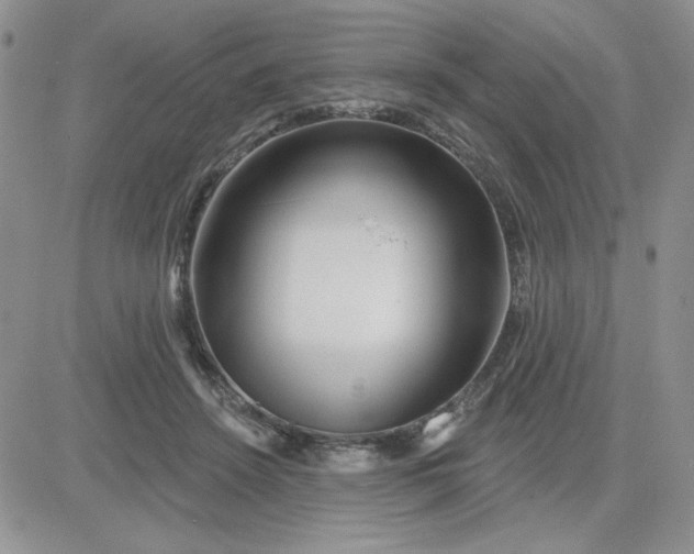 X0000081440456200701261852