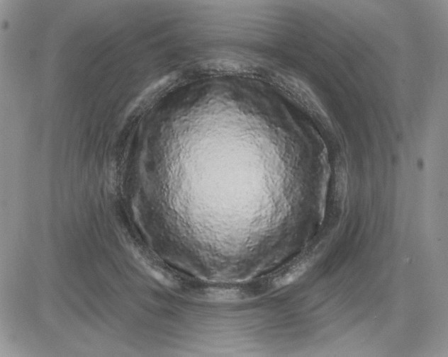X0000081440457200701261852