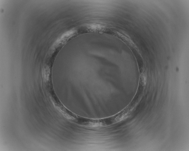 X0000081440458200701261852