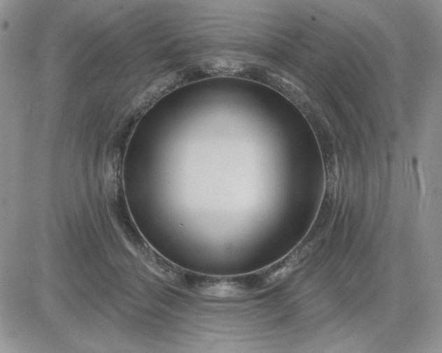 X0000081440460200701261852