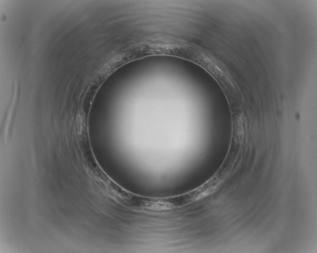 X0000081440463200701261852