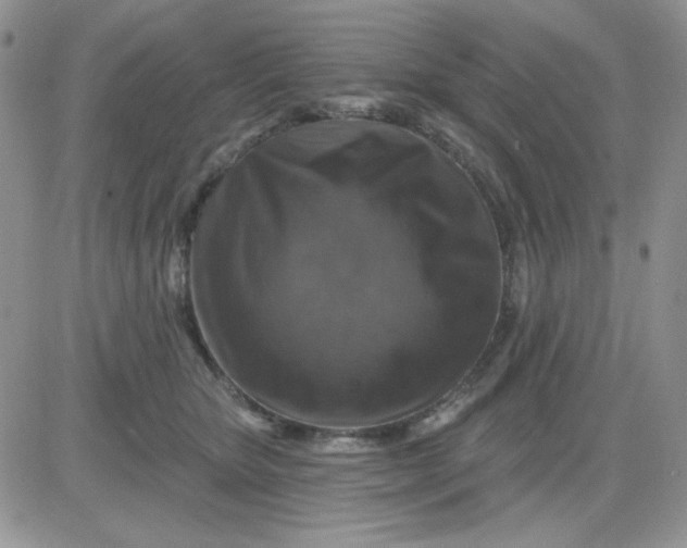 X0000081440467200701261852