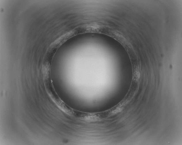 X0000081440468200701261852