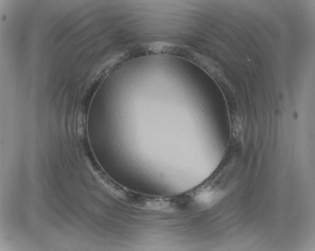 X0000081440470200701261852