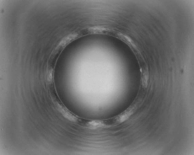 X0000081440477200701261852