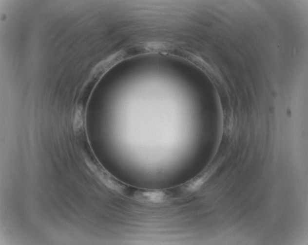 X0000081440478200701261852
