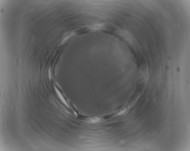 X0000081440479200701261852