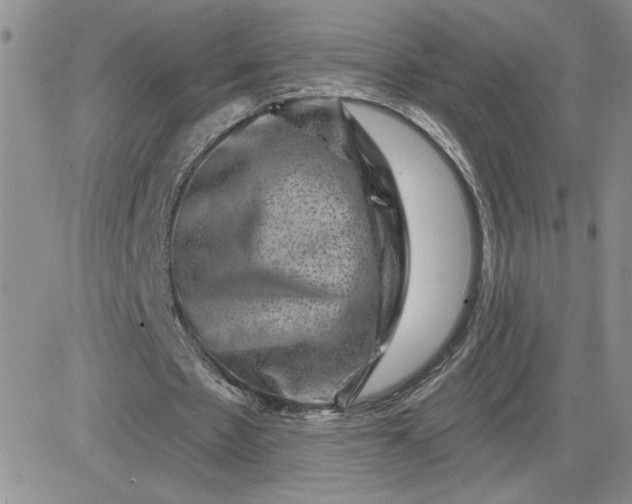 X0000081440481200701261851