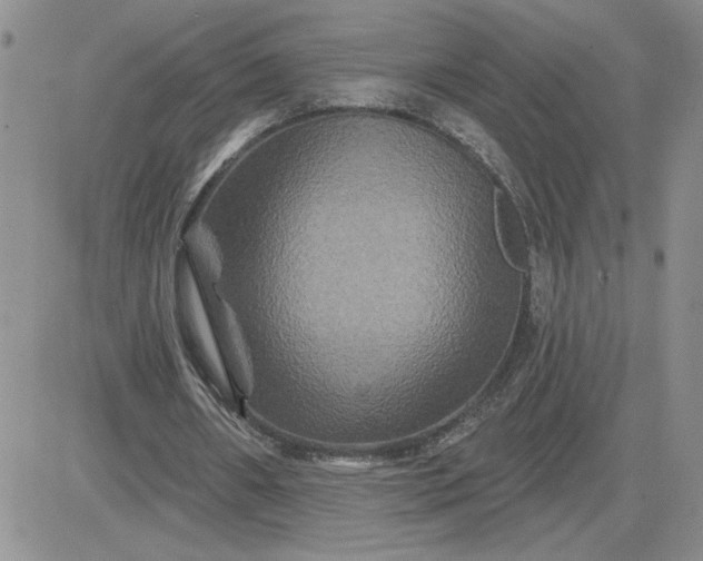 X0000081440482200701261851