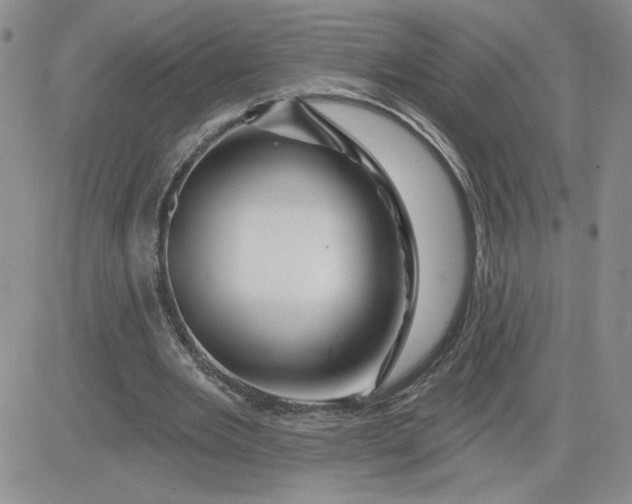 X0000081440485200701261851
