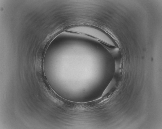 X0000081440489200701261851