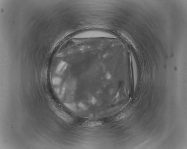 X0000081440491200701261851