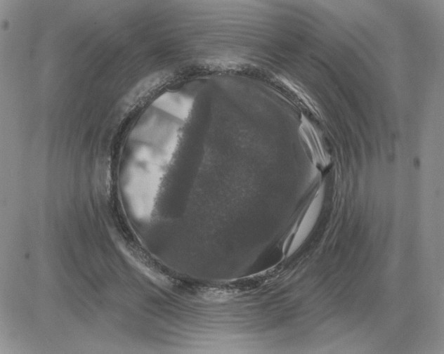 X0000081440494200701261851