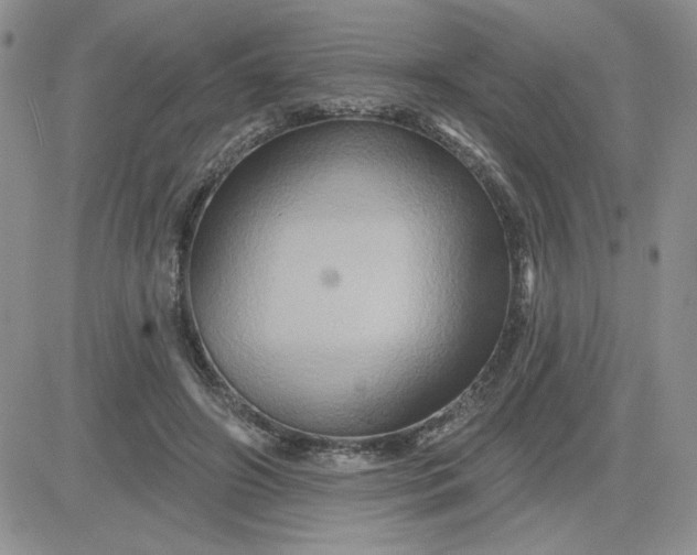 X0000081440498200701261851