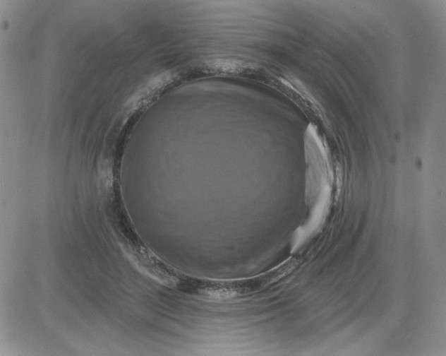 X0000081440500200701261851