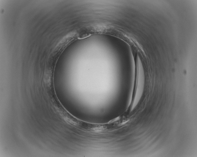 X0000081440505200701261851