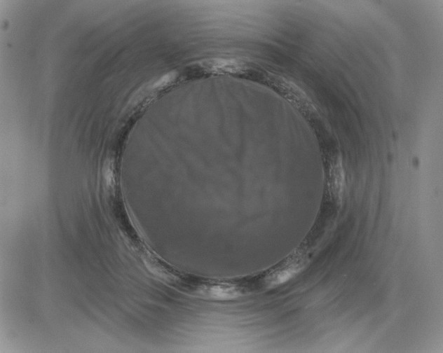 X0000081440506200701261851