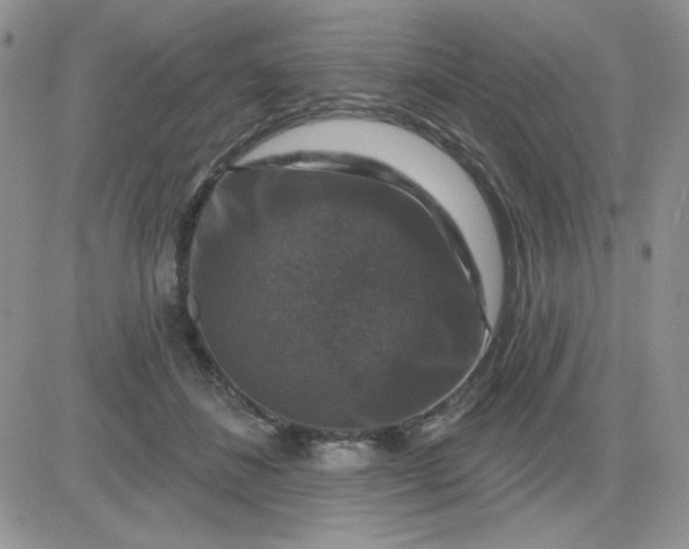 X0000081440508200701261851