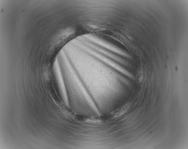 X0000081440515200701261851