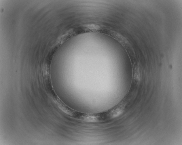 X0000081440518200701261851