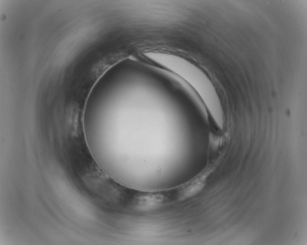 X0000081440525200701261851