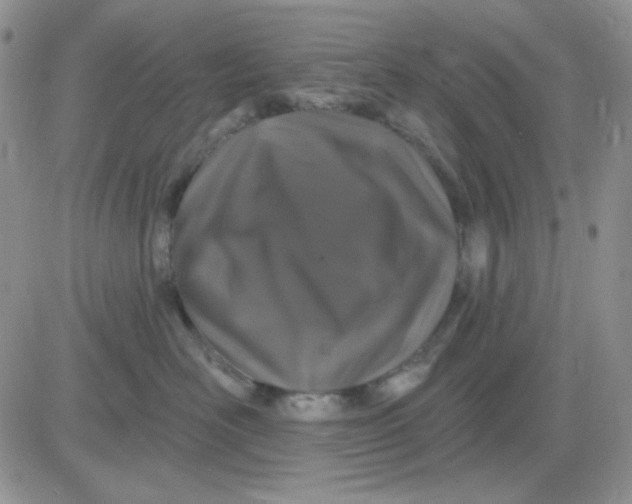 X0000081440526200701261851