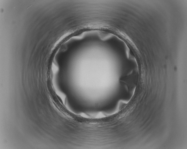 X0000081440530200701261850