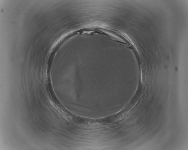X0000081440531200701261850