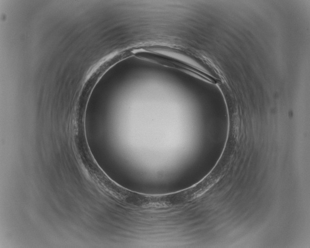 X0000081440536200701261850