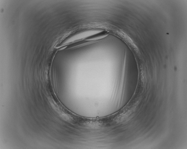 X0000081440537200701261850