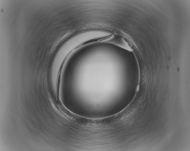 X0000081440538200701261850