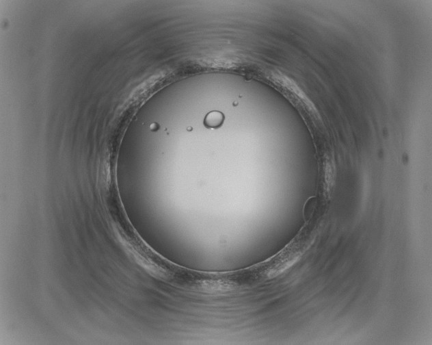 X0000081440541200701261850