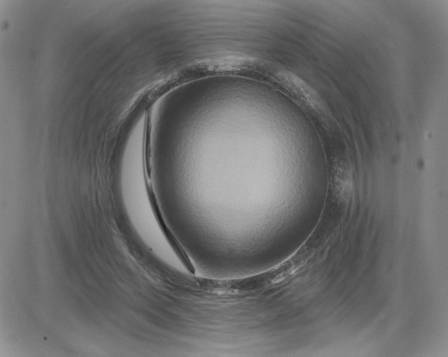 X0000081440543200701261850