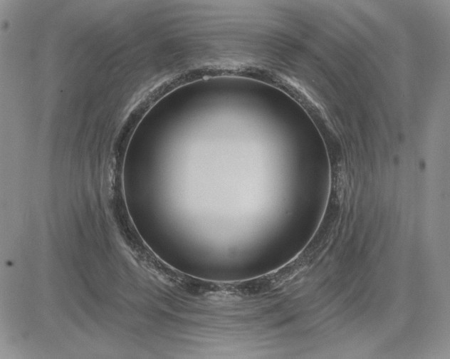 X0000081440544200701261850