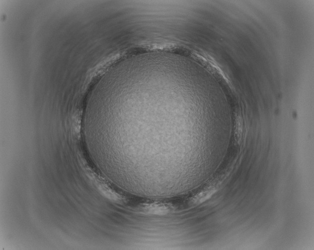X0000081440545200701261850
