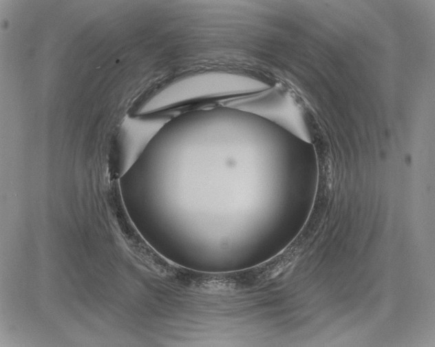 X0000081440546200701261850