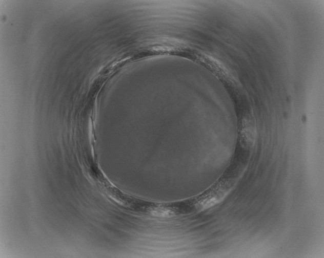 X0000081440547200701261850