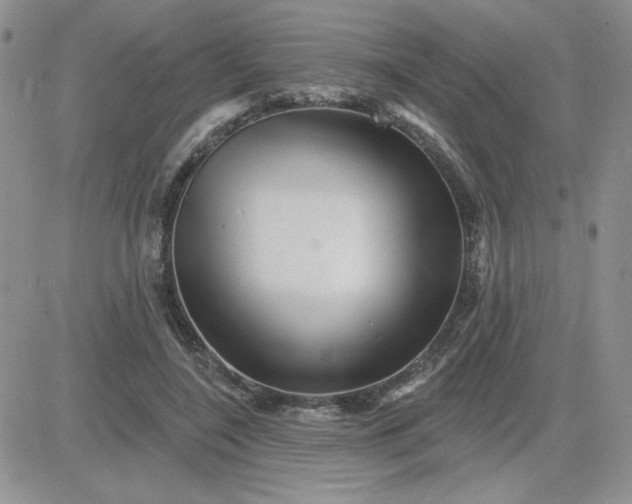 X0000081440548200701261850