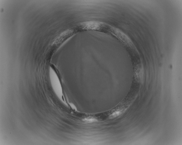 X0000081440551200701261850