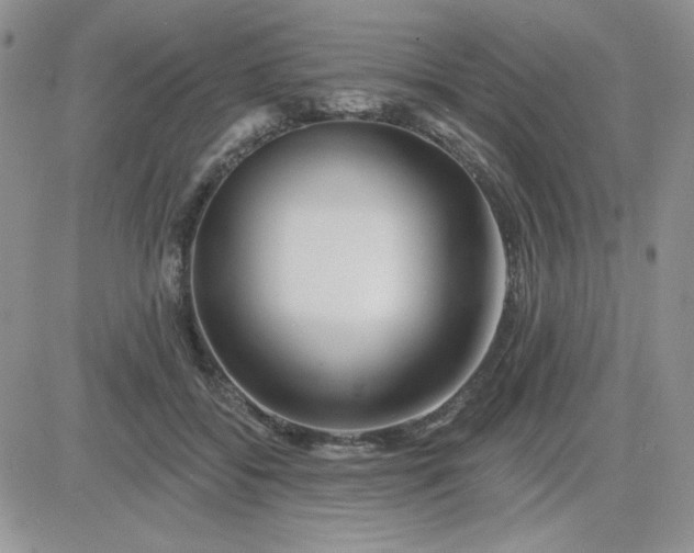 X0000081440556200701261850
