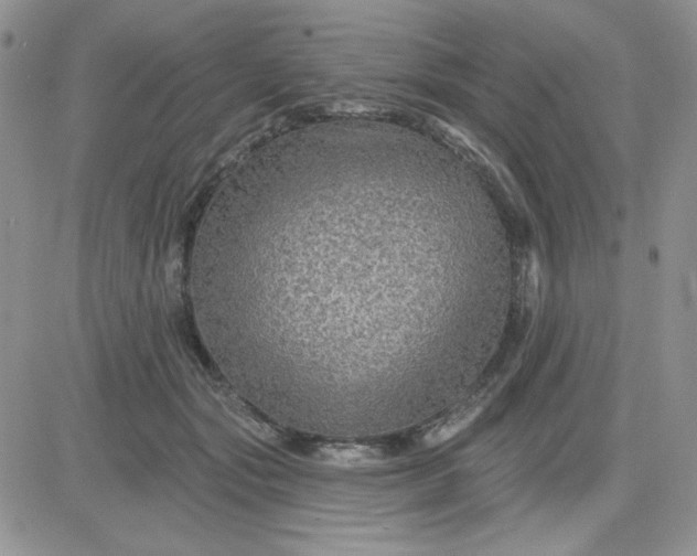 X0000081440557200701261850