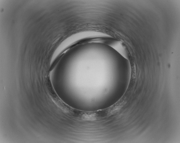 X0000081440560200701261850