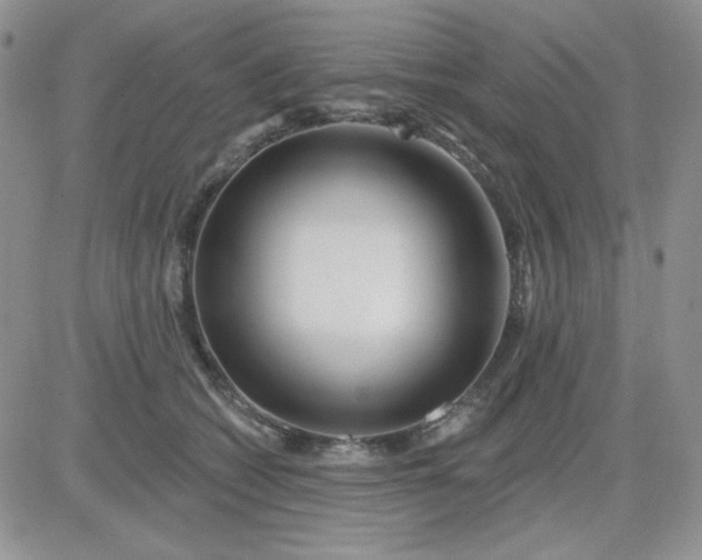 X0000081440562200701261850