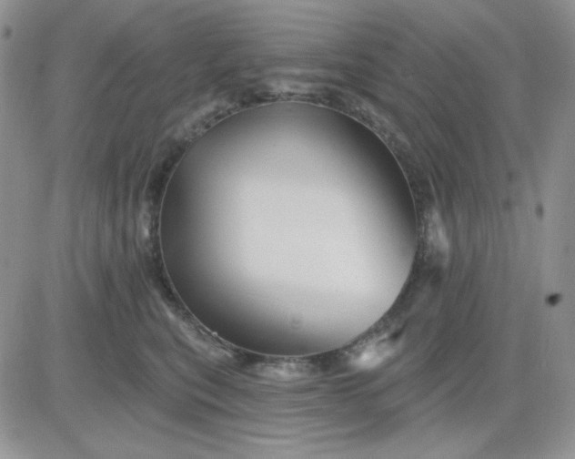 X0000081440567200701261850