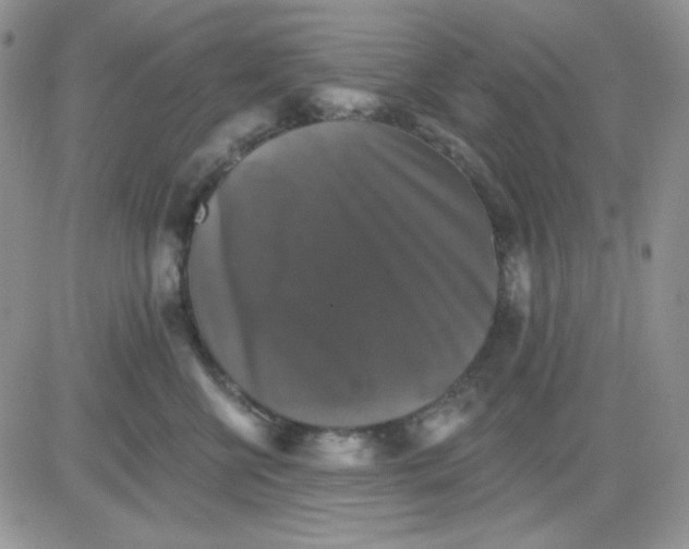 X0000081440570200701261850