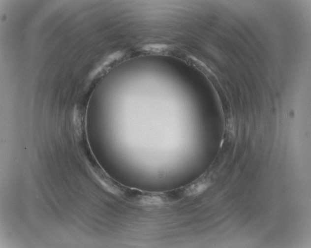 X0000081440572200701261850